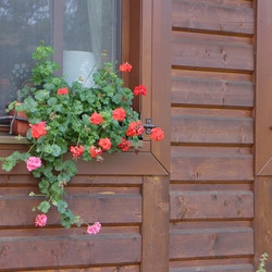 Kovan� ohr�dky na okn� so vzorom BABI�KA zladen� s oploten�m